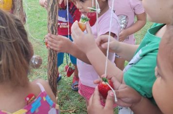 Foto - Atividades sobre alimentação saudável