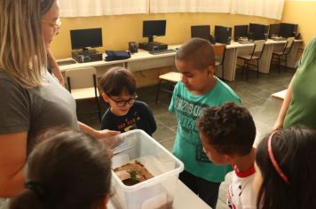 Foto - Zoonoses palestra em escolas para prevenção de acidentes com escorpiões