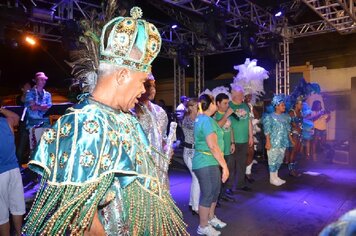 Foto - Tupã Folia 2014