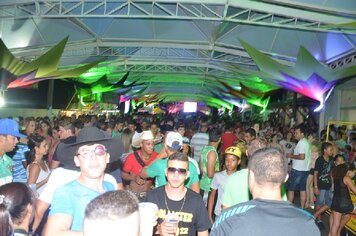 Foto - Tupã Folia 2014