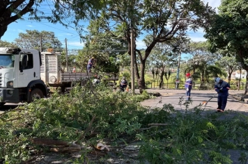 Prefeitura realiza poda e limpeza no canteiro central da rua Domingos da Costa Lopes