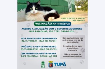 Moradores dos distritos podem agendar vacinação de cães e gatos
