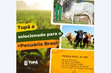 Tupã fará parte de programa inédito de inseminação artificial de rebanhos 
