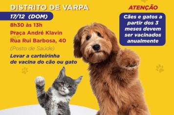 Cães e gatos serão imunizados domingo, 17, em praça de Varpa