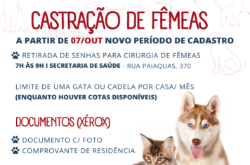 Castração de fêmeas e machos já podem ser agendadas