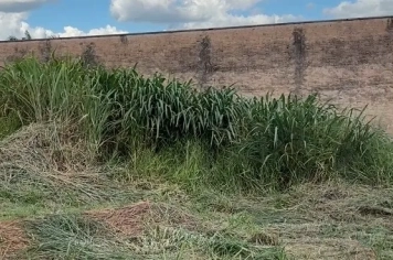 Prefeitura inicia roçada de terrenos particulares com cobrança pelo serviço