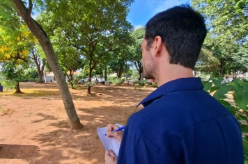 Arborização urbana transforma qualidade de vida em Tupã