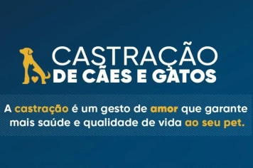 Liberação de guias para castração começa nesta terça-feira