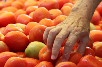 Feira livre da Chavantes não será realizada na próxima terça-feira