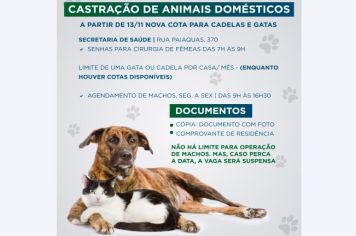 Prefeitura de Tupã oferece mais 200 vagas para castração de cadelas e gatas 