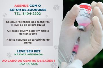 Vacinação antirrábica é transferida para o centro da cidade