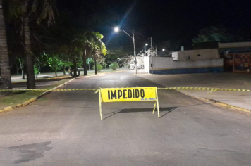 Rua Estados Unidos está interditada após queda de galho