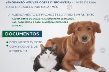 Tupã reinicia agendamento para castração gratuita de cadelas e gatas