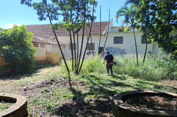 Prefeitura dá sequência a limpeza de terrenos públicos e privados