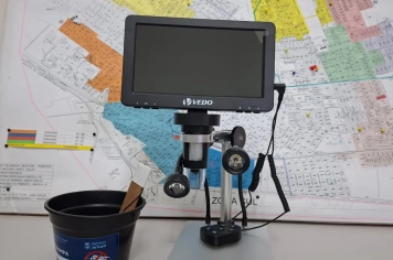 Armadilhas ajudam a mapear infestação do Aedes aegypti