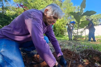 Secretaria de Meio Ambiente planta árvores nativas nas margens do Afonso XIII