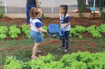 Alunos da rede municipal aprendem por meio de hortas pedagógicas