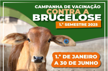 Campanha de vacinação contra brucelose termina em 30 de junho