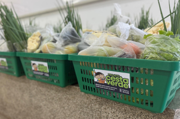 Programa Cesta Verde entrega alimentos de qualidade a 90 famílias
