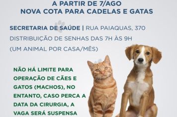 Prefeitura distribuirá mais 200 vagas para castração de cadelas e gatas