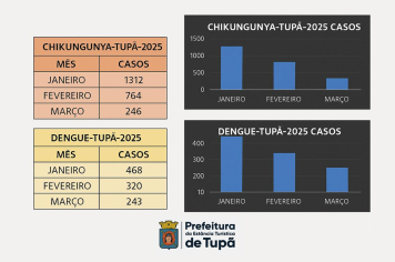 Tupã mais Limpa: campanha garante redução nos índices de transmissão de dengue e chikungunya