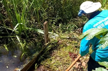 Secretaria de Meio Ambiente promove ação de adensamento florestal em Parnaso
