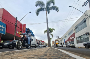 Secretaria de Obras conclui instalação de petit-pavê nos canteiros da Tamoios