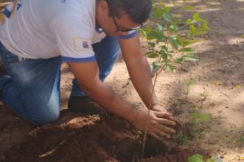 Prefeitura planta mais de 200 mudas no bosque do Solar Luiz de Souza Leão