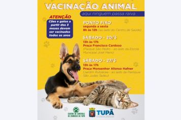 Cães e gatos serão imunizados sábado, 20, em praça da zona leste