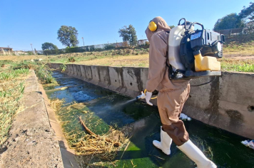 Secretaria de Saúde realiza ações para eliminar pernilongo doméstico
