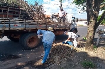 Prefeitura realizou mutirão de limpeza em vários bairros da cidade