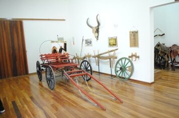 População pode contribuir com o acervo do Museu da Fotografia