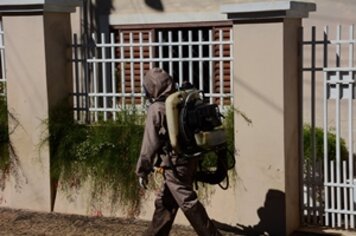 Tupã confirma terceiro caso de leishmaniose em humano