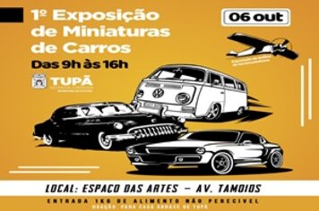 1ª Exposição de miniaturasde carros e aeronaves será realizada em outubro