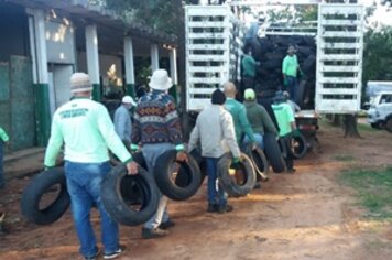 Cerca de 1.200 pneus são encaminhados para reciclagem