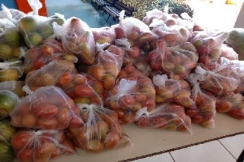 Kits alimentação ajudam a fortalecer agricultura familiar