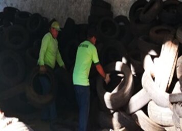 Prefeitura já coletou 1.200 pneus neste mês
