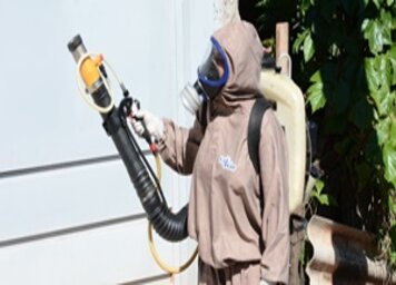 Tupã registra redução de quase 70% dos casos de dengue em comparação a 2020