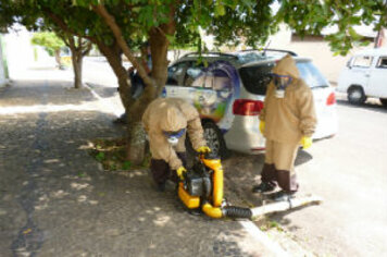 Todos devem ajudar na prevenção da dengue