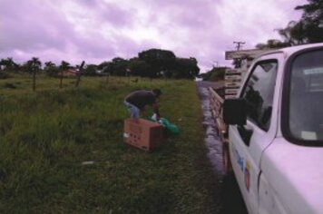 Prefeitura mantém serviço de coleta de animais mortos