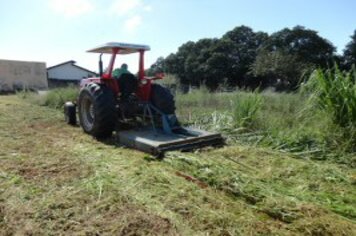 Prefeitura registra saldo positivo de roçada em terrenos