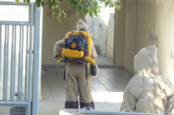 Tupã inicia neste sábado;* com passeata;* semana estadual de mobilização contra a dengue