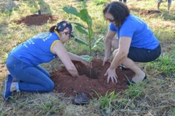 Prefeitura e voluntários realizam plantio de 240 árvores em COAHAB Jamil Dualibi