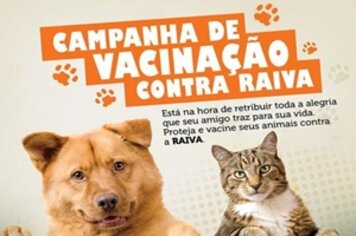 Vacinação antirrábica imuniza 530 animais em cinco dias de campanha