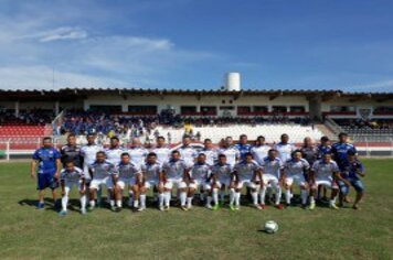 Prefeitura continua realizando castrações de cães e gatos fêmeas