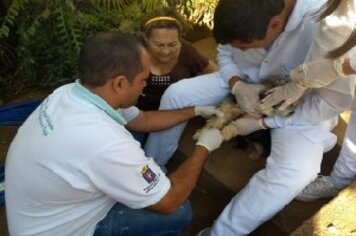 Oitavo caso de Leishmaniose em humano é notificado em Tupã