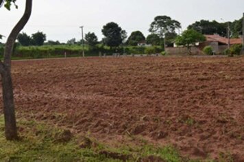 Tiro de Guerra de Tupã comemora 70 anos com plantio de Ipês