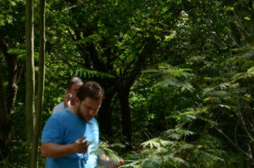 Equipe da Secretaria de Meio Ambiente conhece reflorestamento no antigo Clube do Banespa