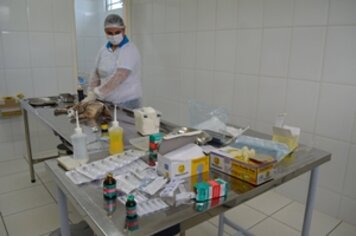 Prefeitura abre inscrições para castração gratuita de 600 animais