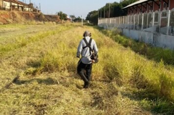 Prefeitura segue com trabalho de limpeza dos locais públicos